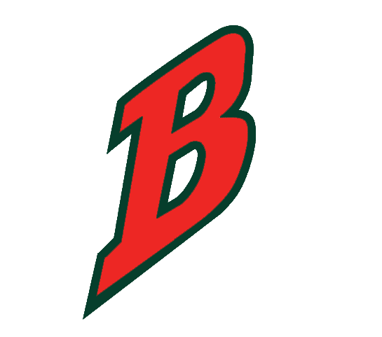 Buffalo Bisons 1998-2003 Cap Logo vinyl decal